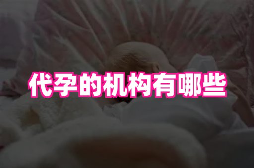 点点助孕网 1