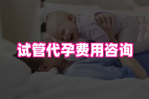点点助孕网 2
