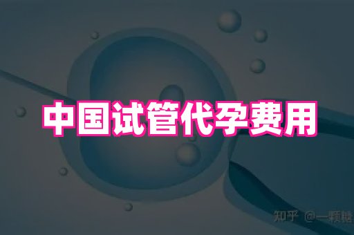 点点助孕网 4